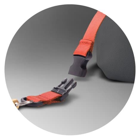 Buckle