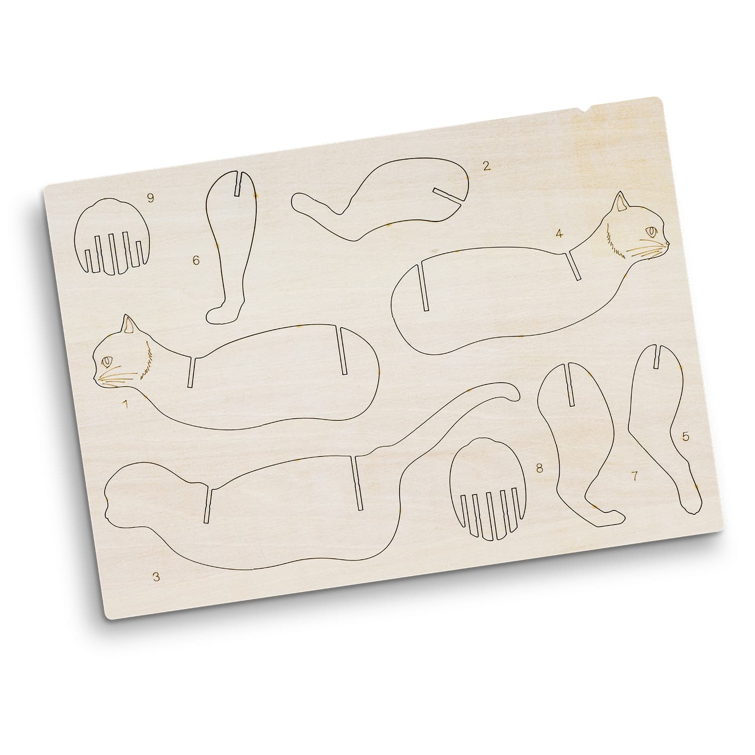 Flat Sheet