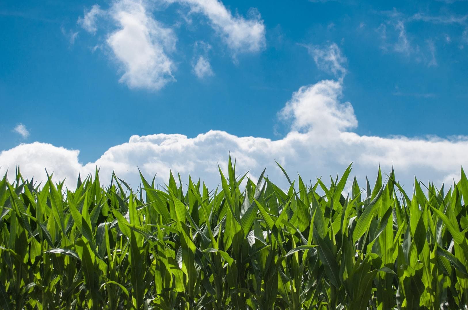What Does It Mean to Be Eco-friendly?